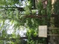 IMG_0421.JPG